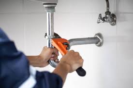 Professional Plumbung Services in Towamensing Trails, PA